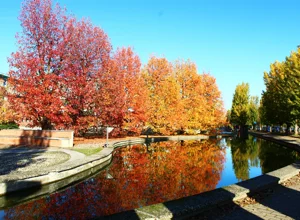 img_3570.webp