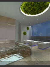 custom spa consulenza alla progettazione , fornitura e posa di custom spa