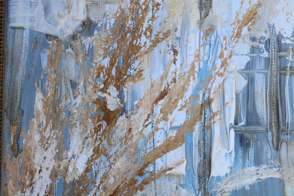 img_6507.jpeg img_6507.jpeg