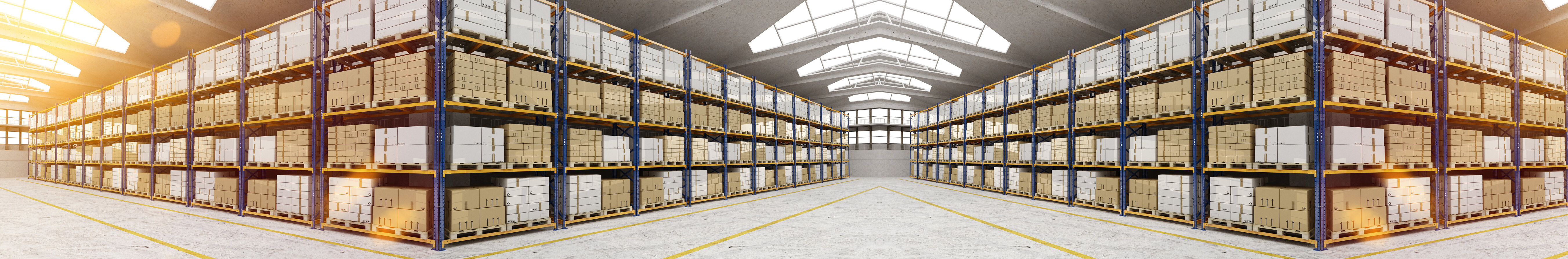 speed pallet foto.jpeg speed pallet foto.jpeg