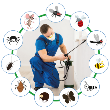 infestanti-disinfestazione infestanti-disinfestazione