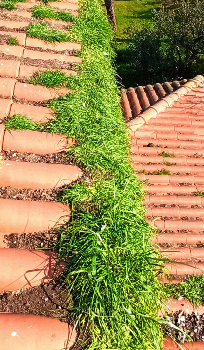 gronde.jpeg gronde.jpeg