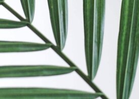 5adc52432b50593b7c51dc113bd1d38228ed6106