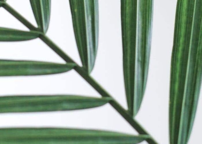 5adc52432b50593b7c51dc113bd1d38228ed6106