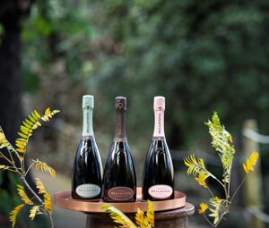 0ed8e9b3e542787f525fb343c2a3a0603febbdce 0ed8e9b3e542787f525fb343c2a3a0603febbdce