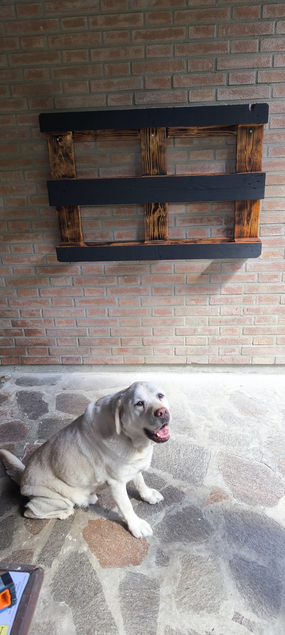 img_20250602_160946.jpeg img_20250602_160946.jpeg