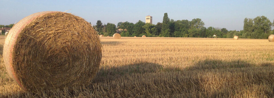 img_5165.jpeg