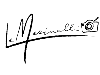 firma_vector
