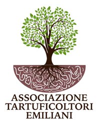 logo associazione.jpeg logo associazione.jpeg