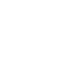 logo-swan-fenice-2024-b1-(bianco_su_trasparente)