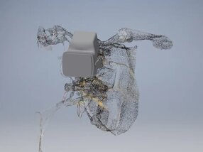 1b1e7bc84d87ac3a37430389ec7e8af380120ff4