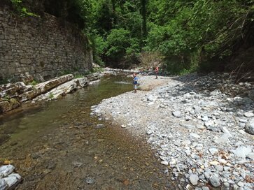 img_20220528_133553.jpeg img_20220528_133553.jpeg