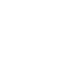 logo_dth_white logo_dth_white