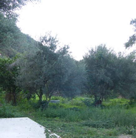 429da8c0ac3bbf08b0274d711c444e6491bcf0d1