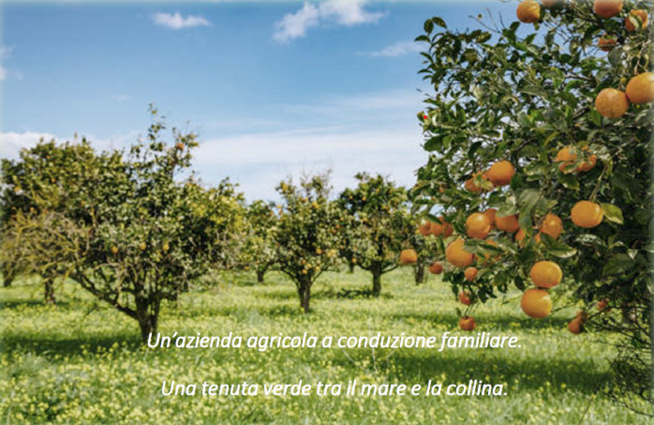 c952627eccb174eba10ce99d58d3b252eb772ac0