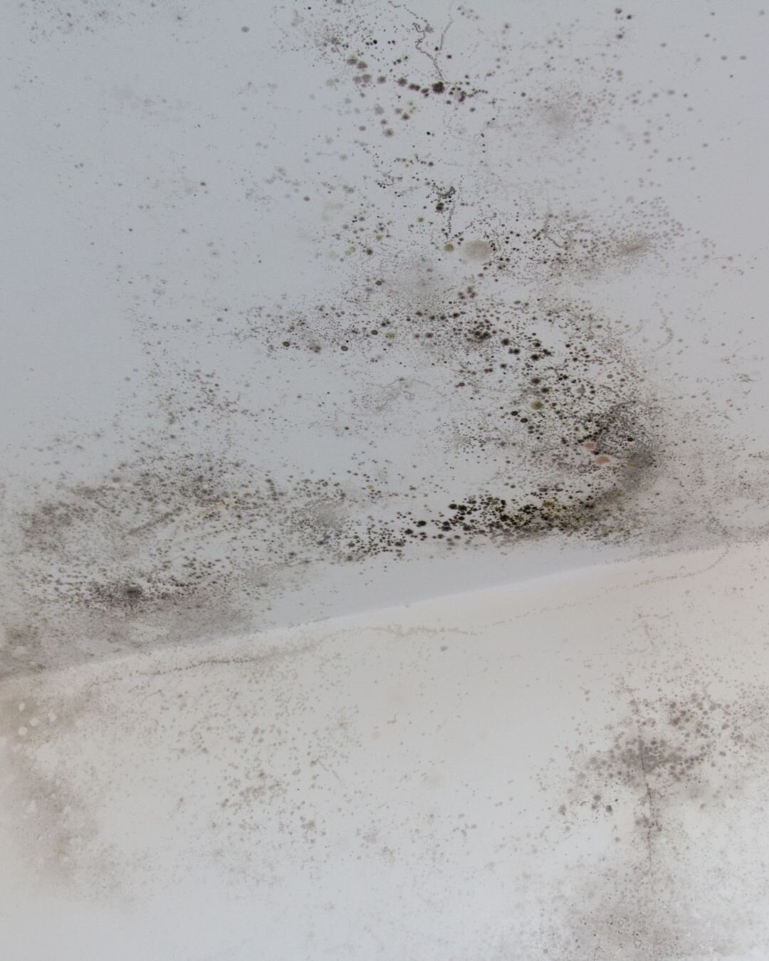 Tutte le soluzioni antimuffa e antiumidità di cui nessuno ti parla