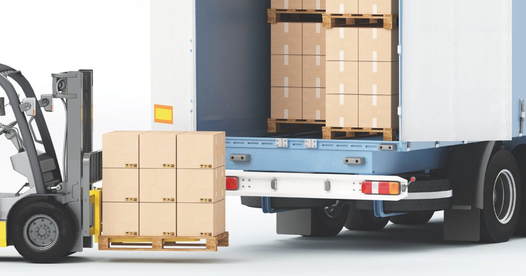 immagine whatsapp 2025-08-07 ore 16.41.26_e34ffaff.jpeg immagine whatsapp 2025-08-07 ore 16.41.26_e34ffaff.jpeg