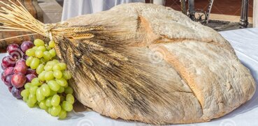 fa86b3c79c35418793c0b82fb74719b1357d6165