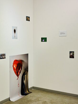 0b229e5f80447d363545d8989a008a12bf8b42d0