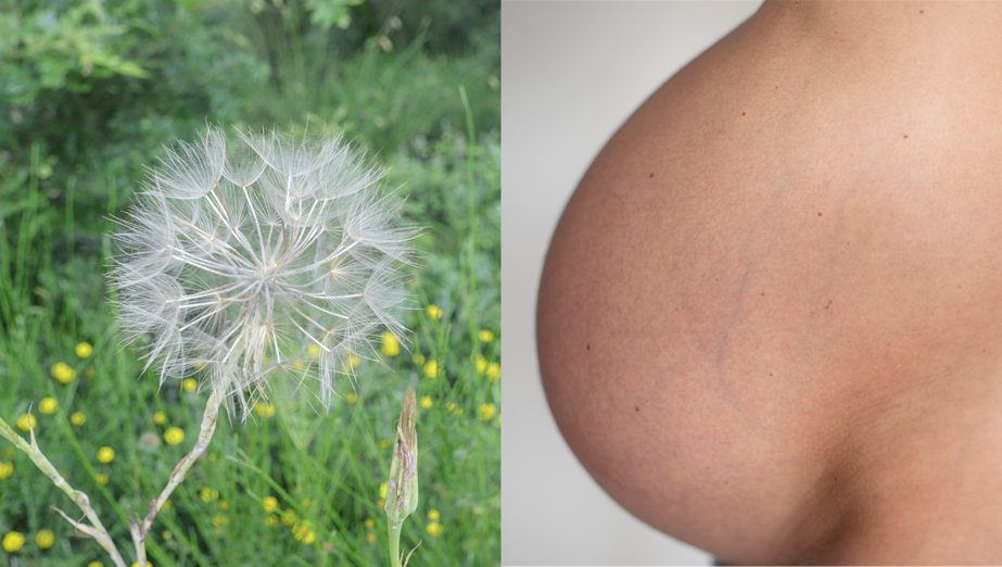 133032dd7a7b7b66fe00f8ed27f3b1a61fb2bf8a 133032dd7a7b7b66fe00f8ed27f3b1a61fb2bf8a