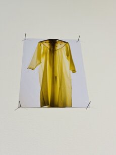 17c38e796b98a13ccd3e5f6faea0721d34815b41