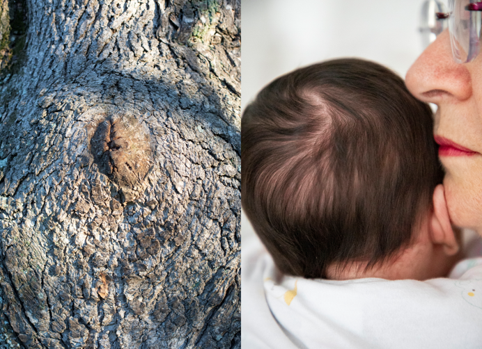 20fb52ad056eee6f17e7afeca0fbf9c48b0d1504 20fb52ad056eee6f17e7afeca0fbf9c48b0d1504