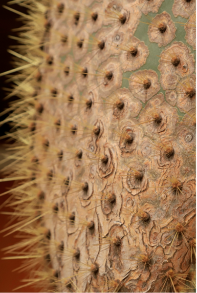 6403-fb513f5dea18cdac0be2caa2887f38f4c7c4c6a3