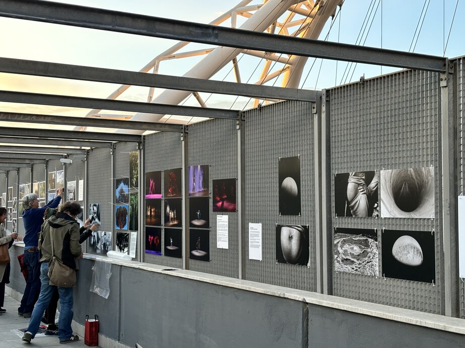 8e3cec6cd76f345e01bbecca4a4f443c80b27e47