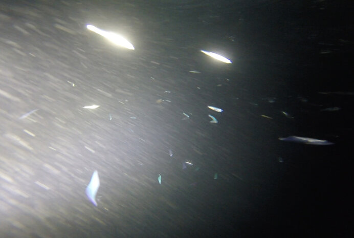 d017aaab9a3b5a2a82bdd4474eba4629ca968791 d017aaab9a3b5a2a82bdd4474eba4629ca968791