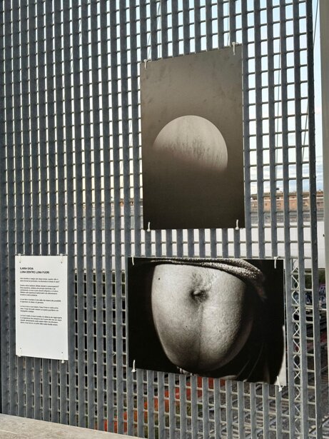 d8206580b6cf3c14b2151b71cb504c4c25273e6c