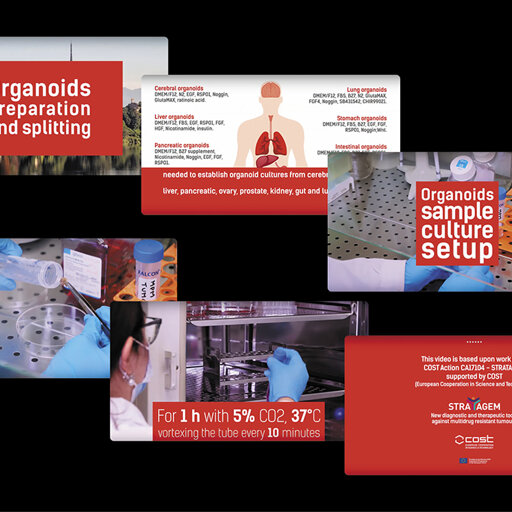Università degli Studi di Torino Filmato di divulgazione scientifica