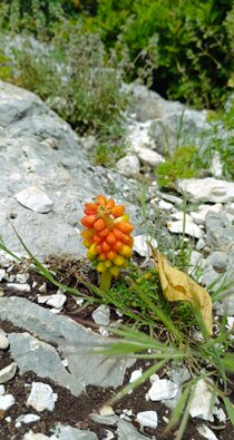 img_20250503_122927