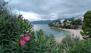 img_20210903_173550.jpeg