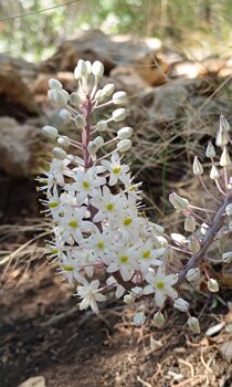 img_20240914_104257