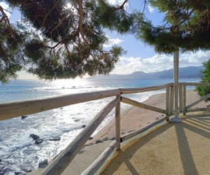 img_20240414_091020.jpeg
