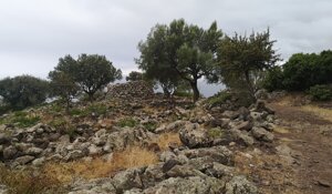 img_20210911_112618.jpeg