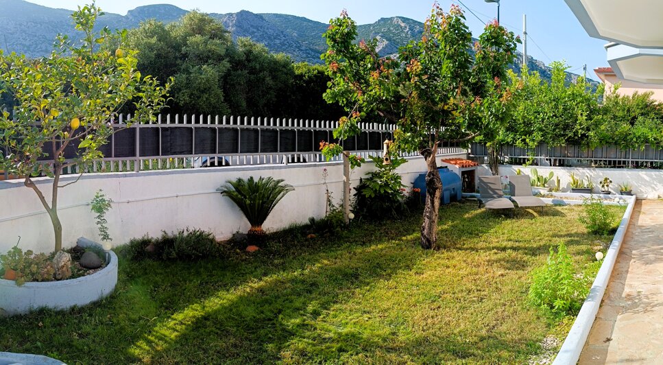 pano_20250518_173545.jpeg