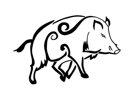 cinghiale_tracciato.trasp