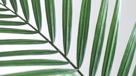 1bf77c12f0fdee8b3c36abe4fda1227452be28a7