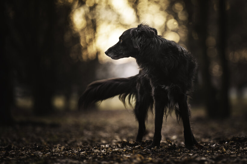 mav09586stampa copia.jpeg mav09586stampa copia.jpeg