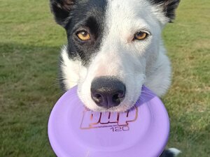 schermata 2025-10-06 alle 15.27.04 schermata 2025-10-06 alle 15.27.04