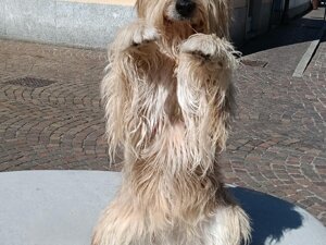 fanta_disc.jpeg fanta_disc.jpeg