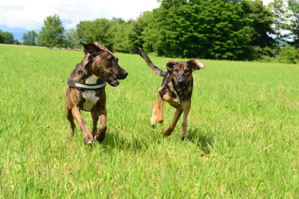 dsc_0139.jpeg dsc_0139.jpeg