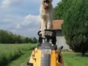 schermata%202025-10-07%20alle%2009.56.47 schermata%202025-10-07%20alle%2009.56.47