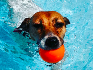 schermata%202025-10-06%20alle%2016.26.22 schermata%202025-10-06%20alle%2016.26.22