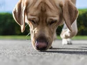 zero_tricks.jpeg zero_tricks.jpeg