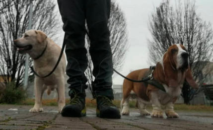 schermata 2025-10-06 alle 16.26.56 schermata 2025-10-06 alle 16.26.56