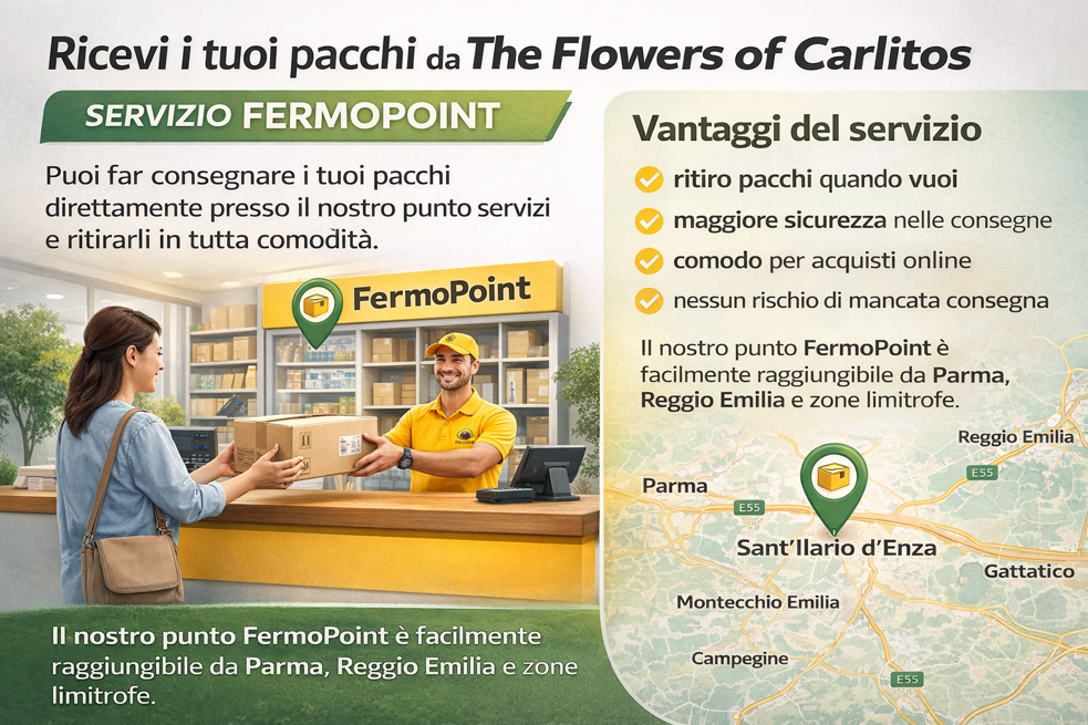 the flowers of carlitos 8