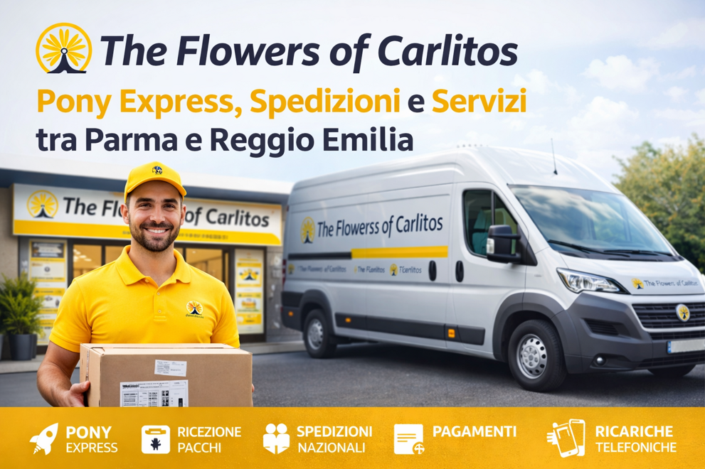 the flowers of carlitos