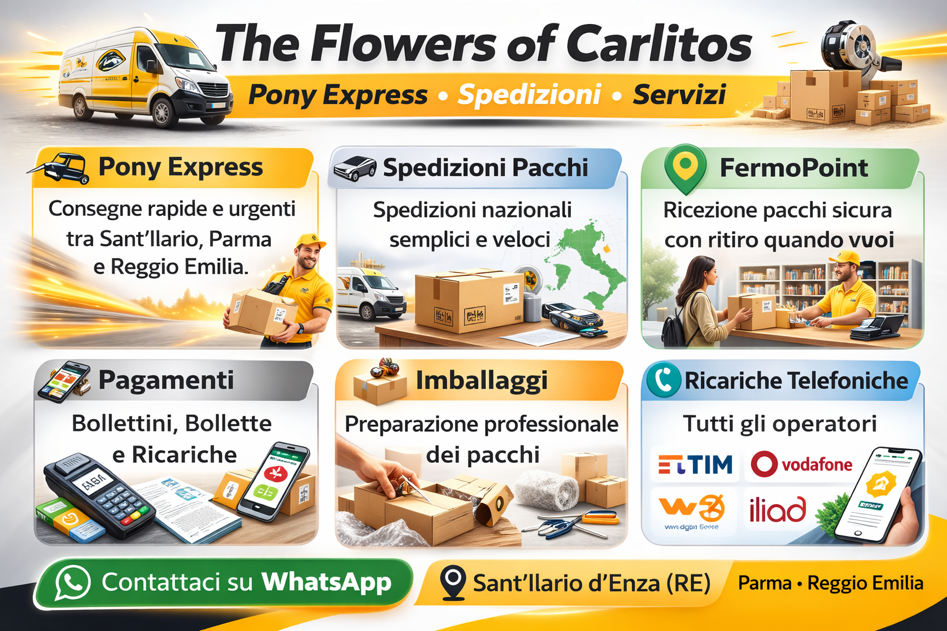 the flowers of carlitos 2